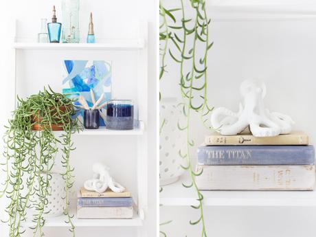 Un lienzo en blanco / A blank canvas