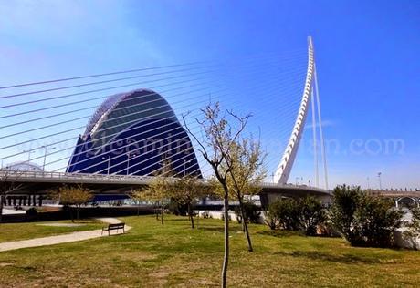 El Jardín del Turia, el pulmón verde de Valencia