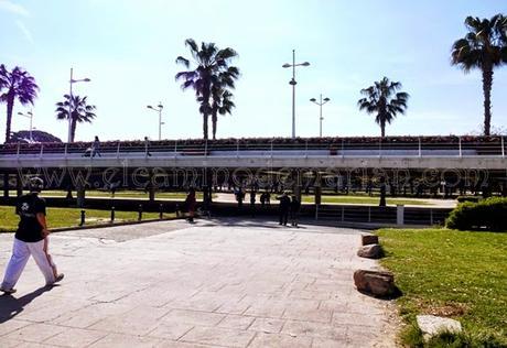 El Jardín del Turia, el pulmón verde de Valencia