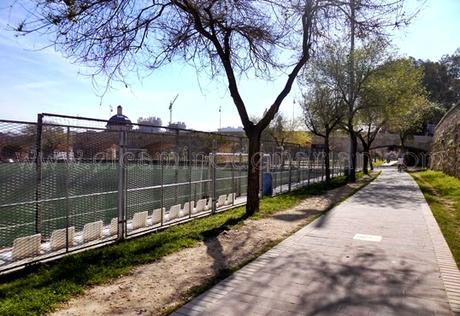 El Jardín del Turia, el pulmón verde de Valencia