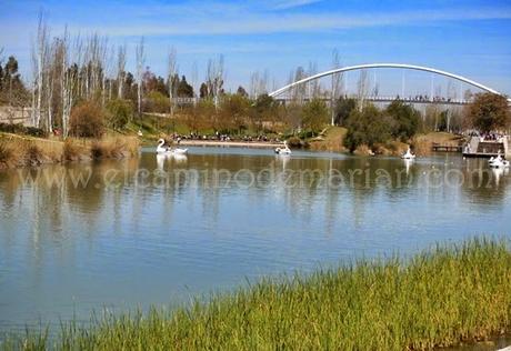 El Jardín del Turia, el pulmón verde de Valencia