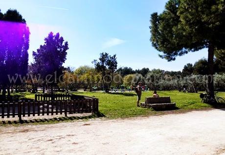 El Jardín del Turia, el pulmón verde de Valencia