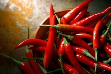 Alimentación y recetas 3. XXVIII