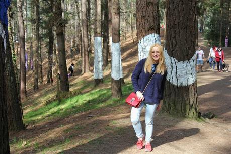 De excursión al bosque pintado de Oma