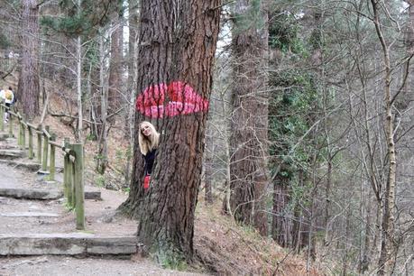 De excursión al bosque pintado de Oma