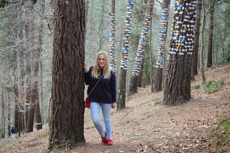 De excursión al bosque pintado de Oma