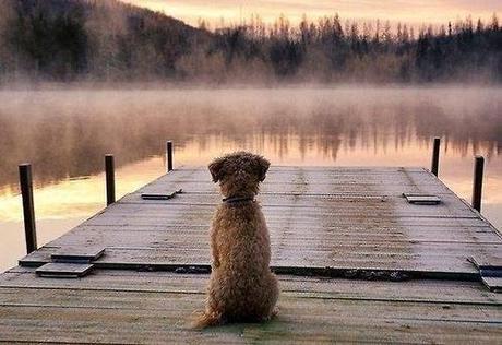 San Viernes en modo blogger