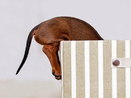 San Viernes en modo blogger