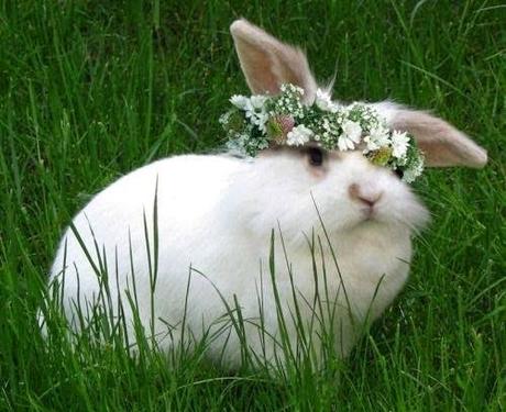 San Viernes en modo blogger