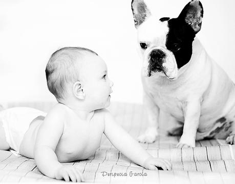 Una pequeña cocinera y su perro