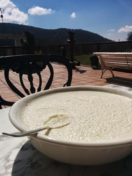 Receta de mamia o cuajada de leche de oveja y de chocolate Receta de mamia o cuajada de leche de oveja y de chocolate