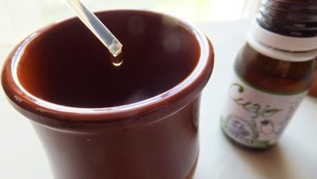 Receta de mamia o cuajada de leche de oveja y de chocolate Receta de mamia o cuajada de leche de oveja y de chocolate