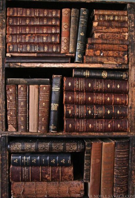 Leatherbound books that fill my head with stories and knowledge #books #vintage #antique