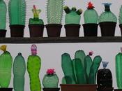 Recicla botellas crea plantas