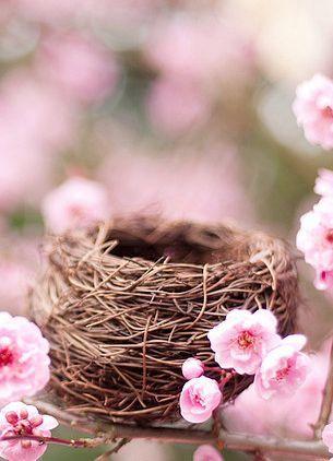 Mis Creaciones: Pulsera Bird in the cherry-tree