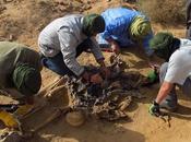 Proceso altos cargos marroquíes genocidio Sáhara