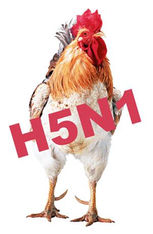 El control de la comunicación científica. ¿Censura o manipulación? El control de la comunicación científica. ¿Censura o manipulación?