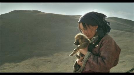 El último lobo. Amor por la naturaleza.