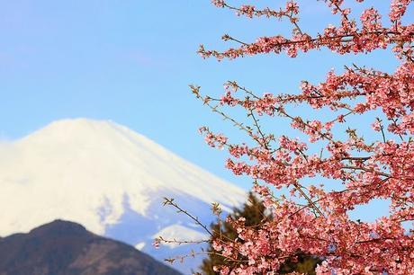 Monte Fuji Japon