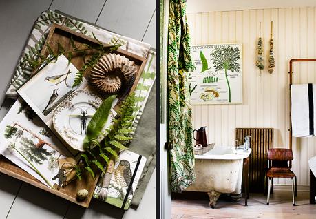 Hoy pienso en verde /  I think green