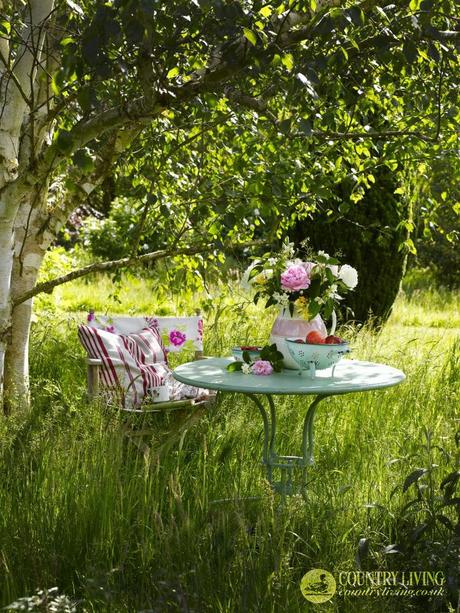 Hoy pienso en verde /  I think green