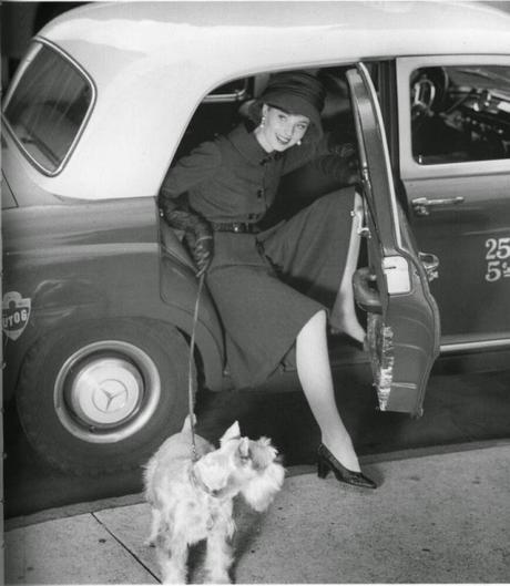 Pantalones culottes. Te apuntas a esta nueva tendencia? Pantalones culottes. Te apuntas a esta nueva tendencia?