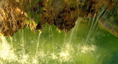 El agua, un elemento vital para los cultivos