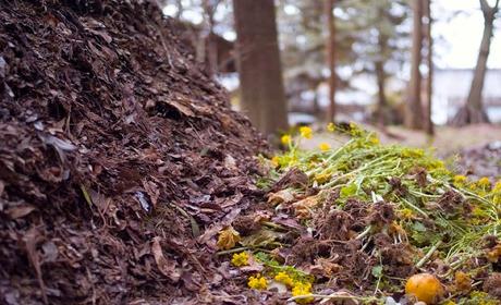 Como elaborar compost de forma artesanal
