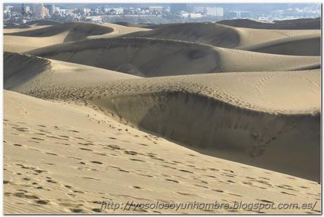 Otra vista de las dunas desde la cresta de una de ellas Otra vista de las dunas desde la cresta de una de ellas