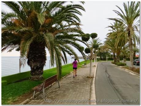 Paseo de Pasito Blanco Paseo de Pasito Blanco