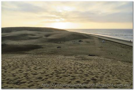 vista de la playa y las dunas de Maspalomas