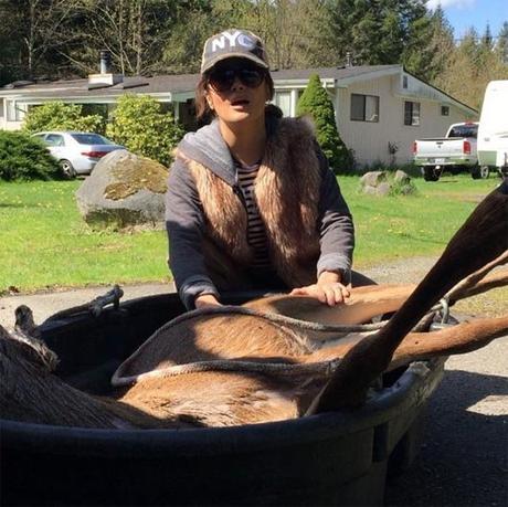 Salma Hayek ayuda a un ciervo que había sido atropellado Salma Hayek ciervo