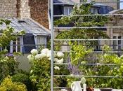 Disenos Terrazas Rusticas