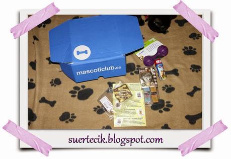 ¿Conoces MascotiClub?