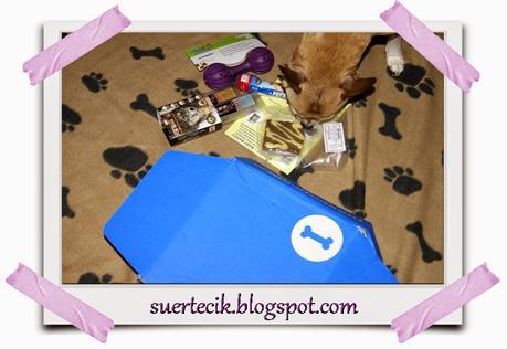 ¿Conoces MascotiClub?