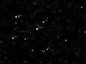 Delfín entre estrellas