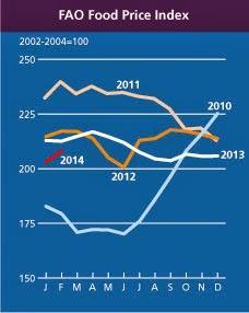 El precio de los Alimentos como factor desencadenante de las protestas en todo el mundo.