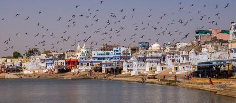 Los pájaros sobre Pushkar