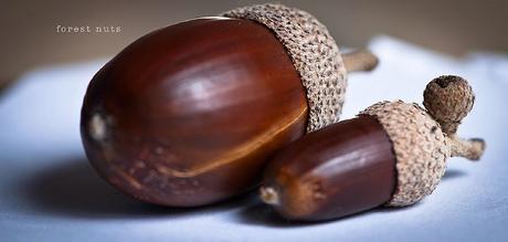 Como puede competir una pequeña explotacion con grandes multinacionales