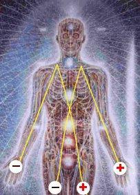 Cómo Leer el Cuerpo