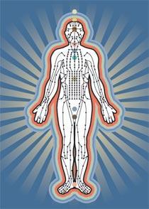 Cómo Leer el Cuerpo