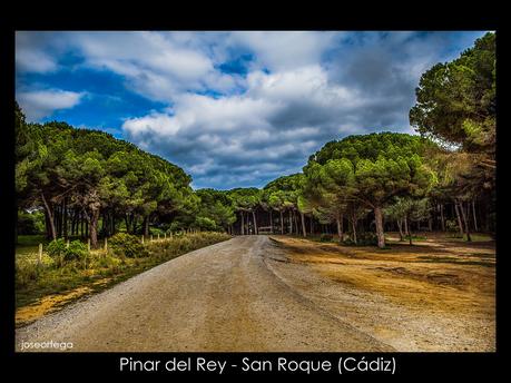Pinar del Rey - San Roque (Cádiz)
