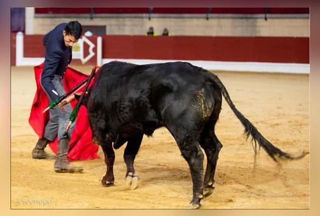 Plaza de toros La Montera del Torero. Los Barrios (Cádiz)