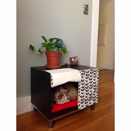 CURIOSIDADES MAKEOVER