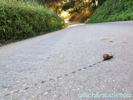 lugares encanto bordils runners pulmón europa mas carreras 1846 baix empordà
