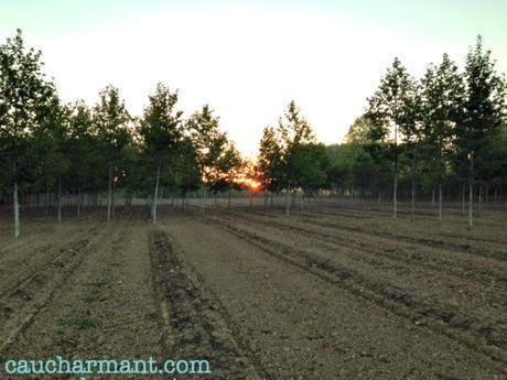 lugares encanto bordils runners pulmón europa mas carreras 1846 baix empordà