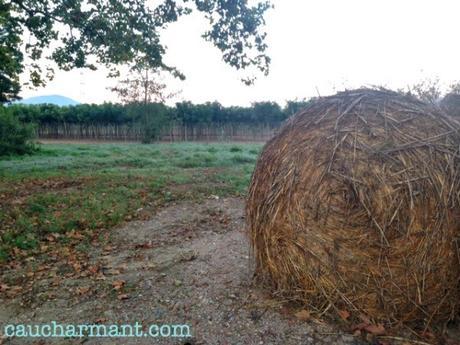 lugares encanto bordils runners pulmón europa mas carreras 1846 baix empordà