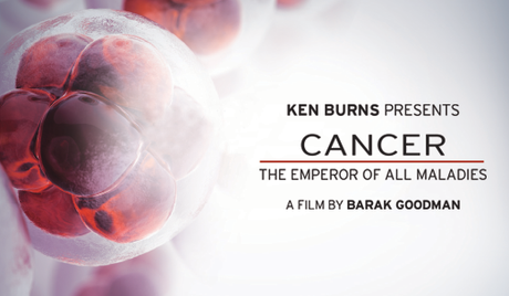 Cineterapia oncológica: Cáncer: El Emperador de todos los males. EEUU.2015. Barak Goodman