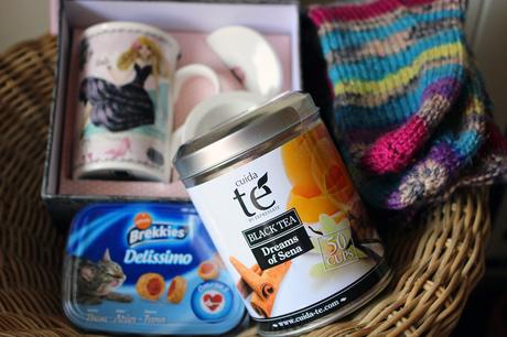 Swapetines 2015 ¡recibidos!