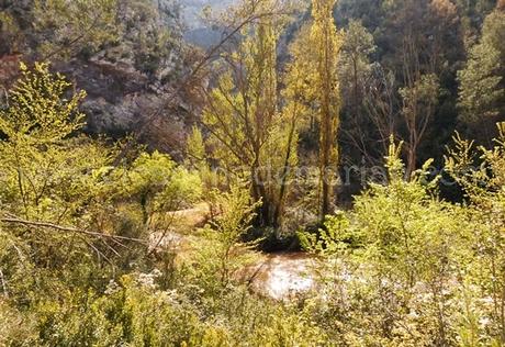 Titaguas y sus parajes naturales, senderismo por el Alto Turia valenciano